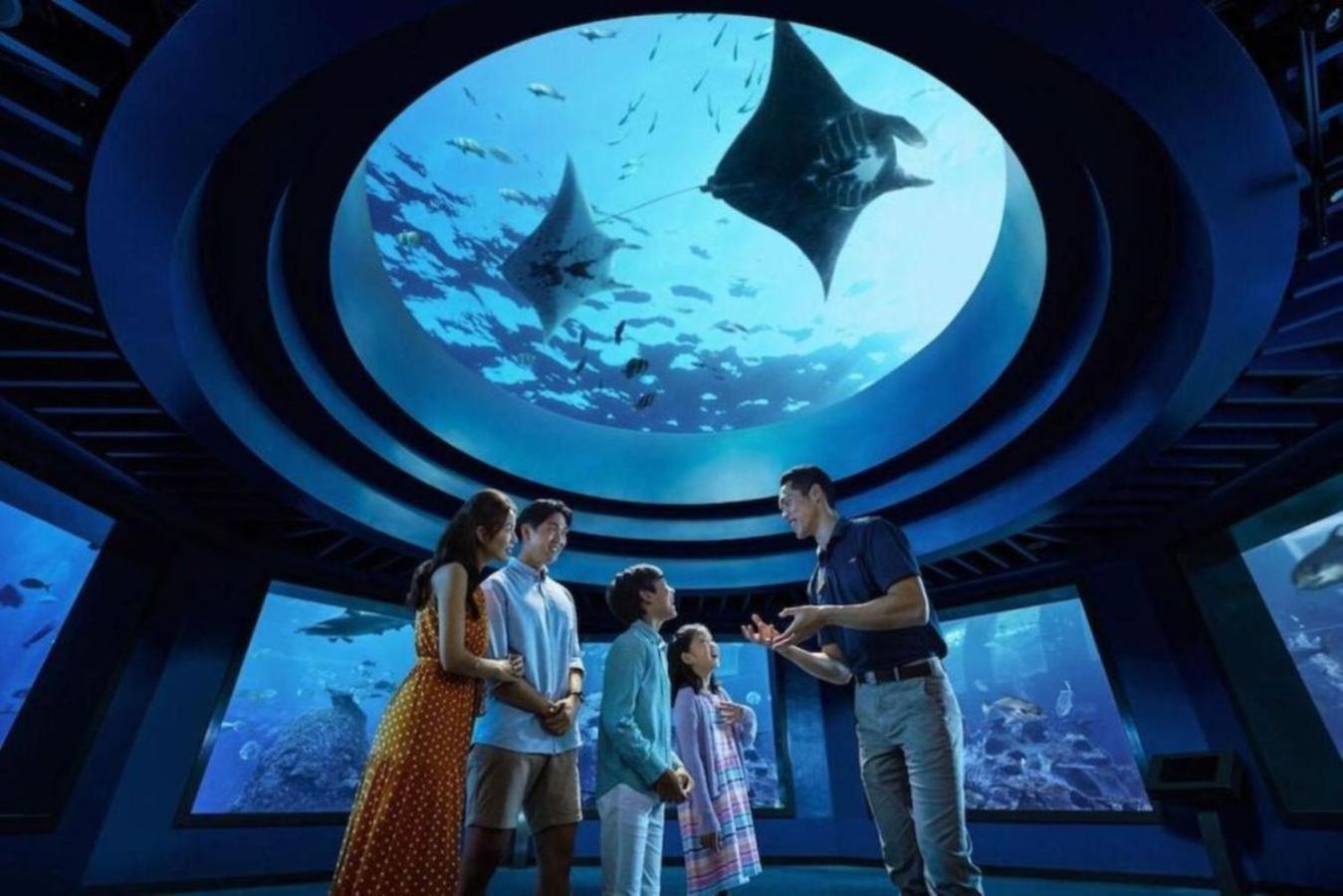 3D2N Seas The Deluxe Room complimentary One Tickets to Singapore Oceanarium