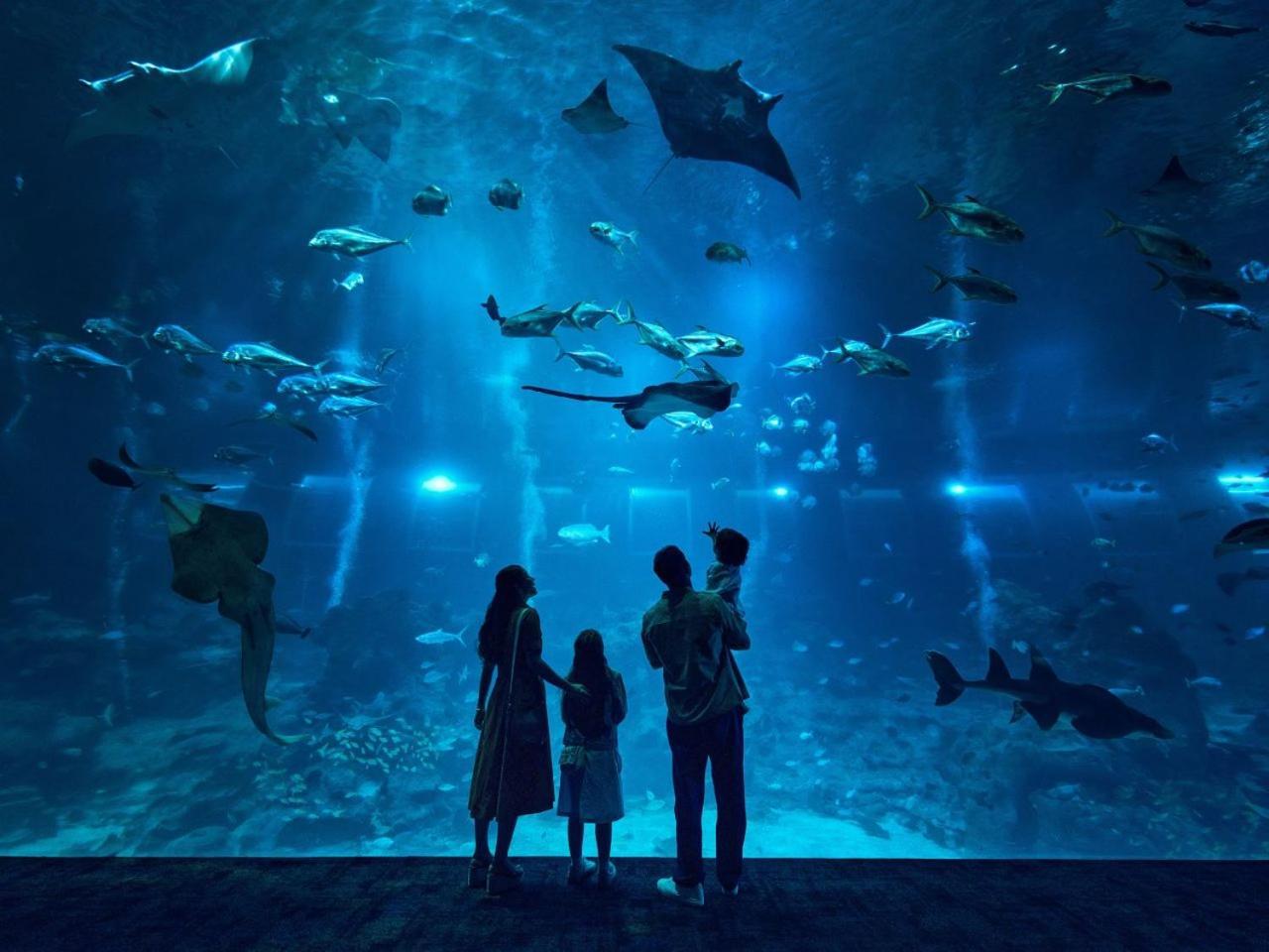 3D2N Seas The Deluxe Room complimentary One Tickets to Singapore Oceanarium